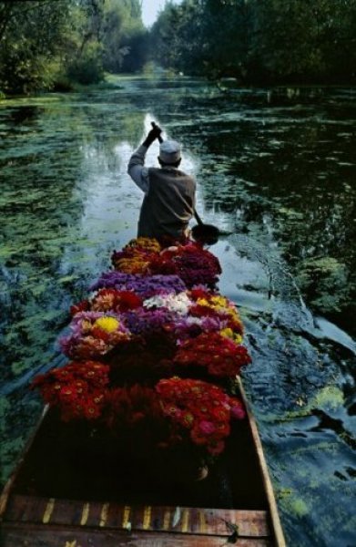 Flower Seller